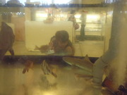P7300123