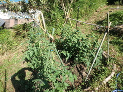 P6101901