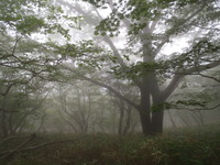 P7030270