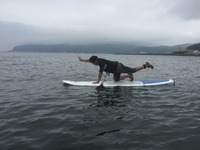 image-02-07-16-02-29-3