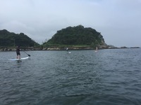 image-02-07-16-02-29-1