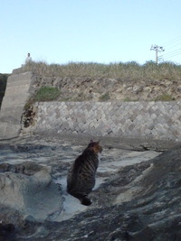 P5013081