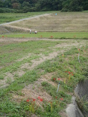 hatake1