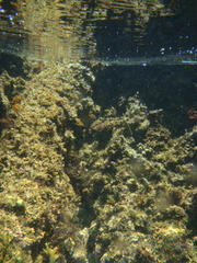 P7280061