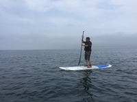 image-02-07-16-02-29