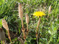 P3210166