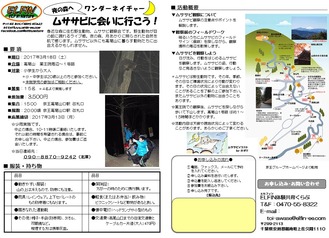 ムササビ観察170318