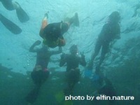 シュノーケリング子ども