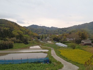 里の風景110422