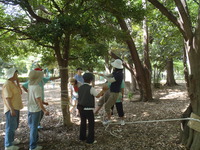 P7070801