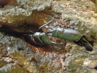 P7110841