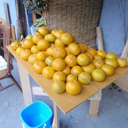 P1041210
