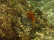 P7280073