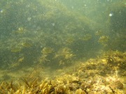 P7270021