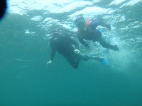 P7163275