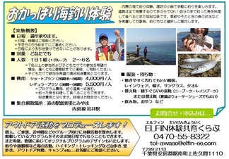 おかっぱり海釣り体験