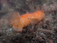 P7230248