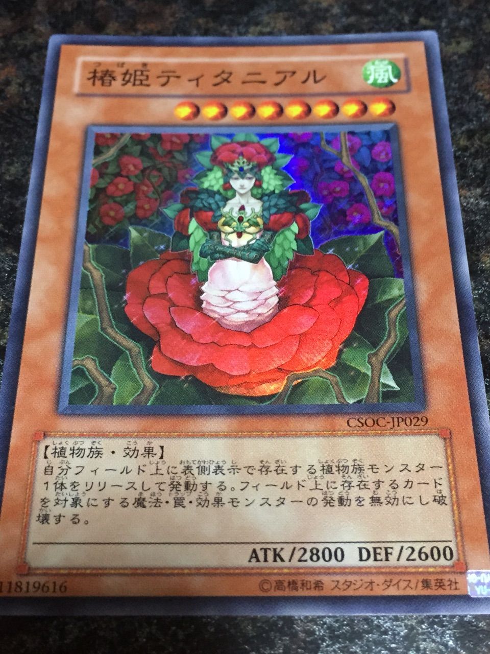 四季折々な森羅姫 因幡の白ガリス 四季折々な森羅姫 因幡の白ガリス