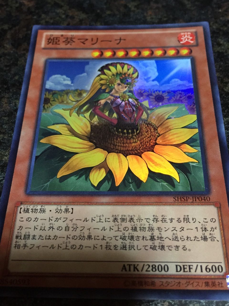 四季折々な森羅姫 因幡の白ガリス