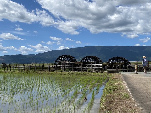 復興のシンボル「三連水車」存続の危機（朝倉市） : 福岡エルフの木