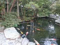 DSC_0135_1412724140828[1]