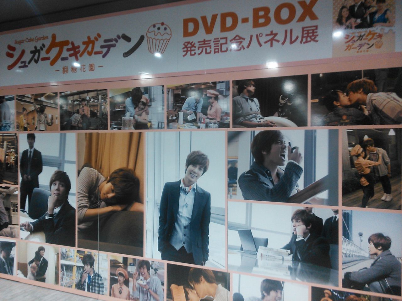 ハーブティの香りに誘われて シュガーケーキガーデンdvd Box発売記念パネル展