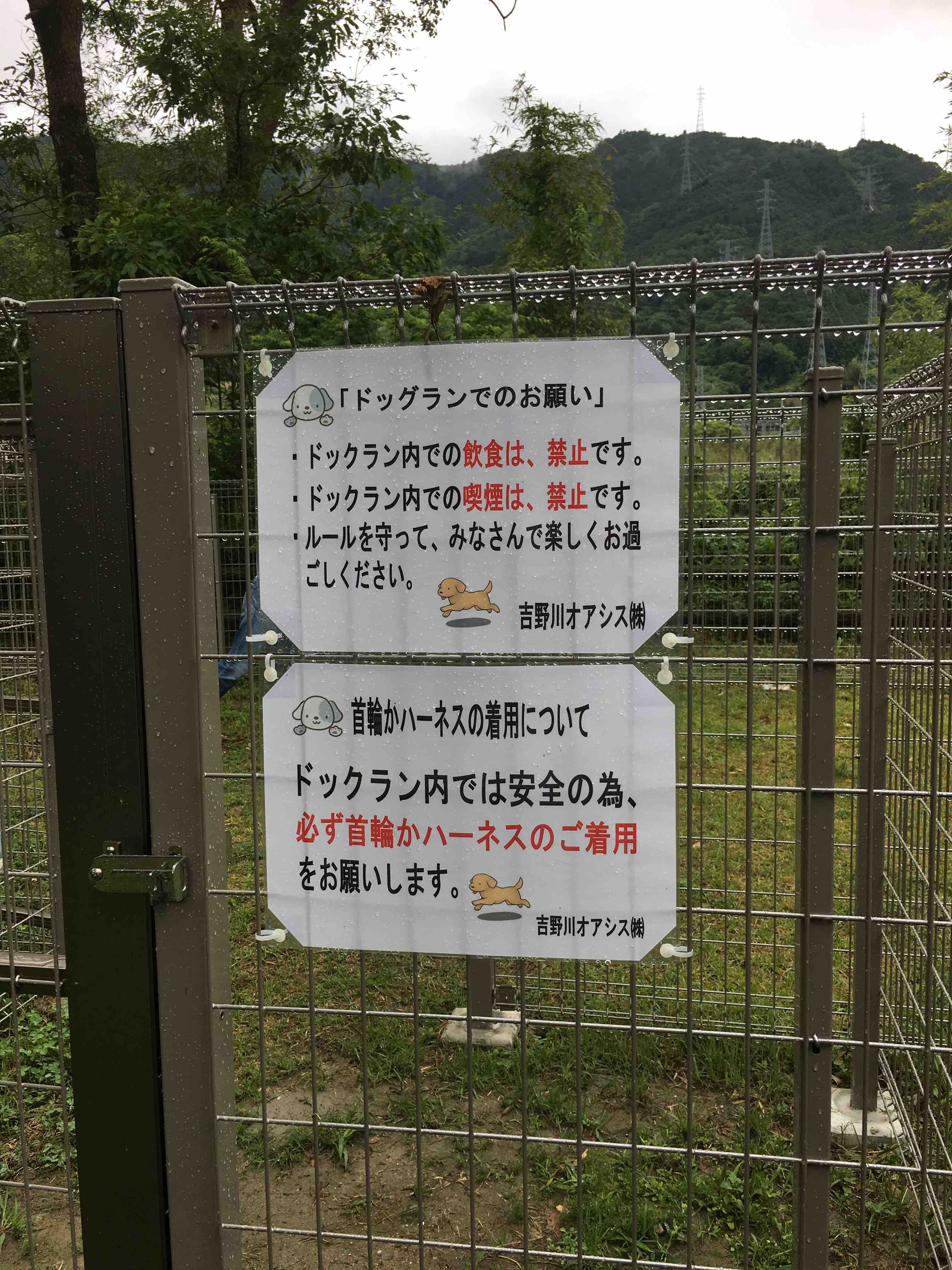 ノーリード禁止 Saのドッグランの不思議は解決 笑 コリーですの シェルティですの