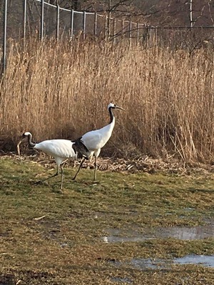 IMG_3347