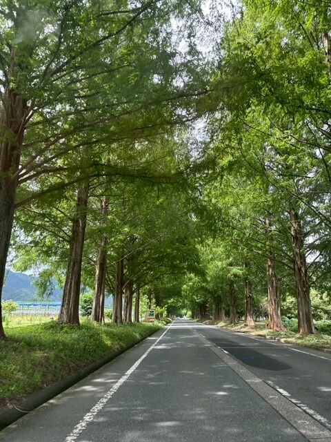 ca661da3d74e562a4c886c39b05f4895