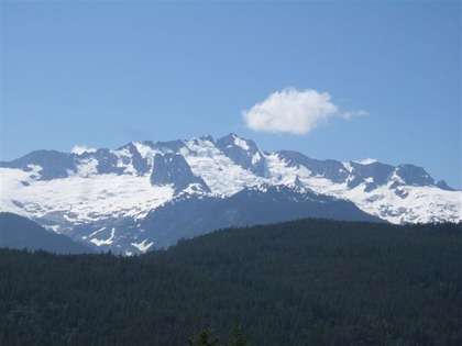 DSCF7184
