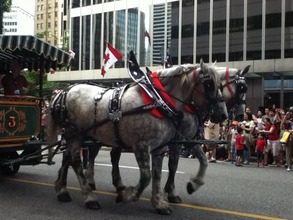 Canada Day (2)