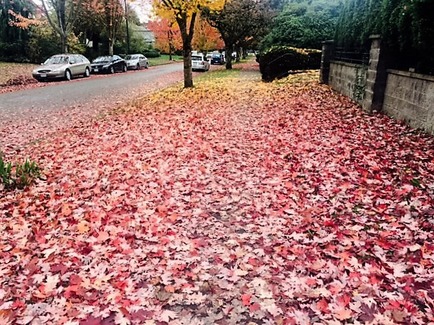 FullSizeRender_2 (2)