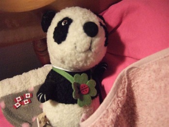 Panda