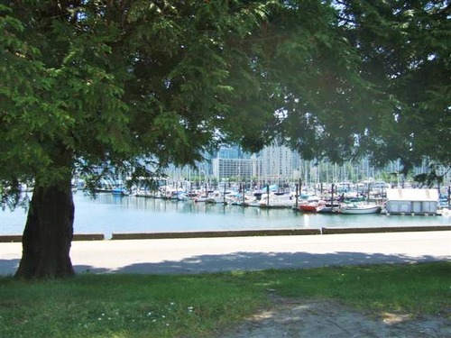 Stanley Park (6)