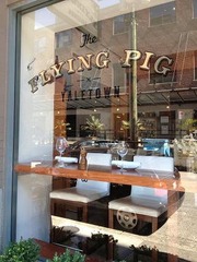 flying pig (6)