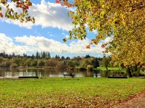 image_37