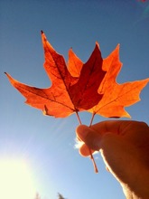 image_10