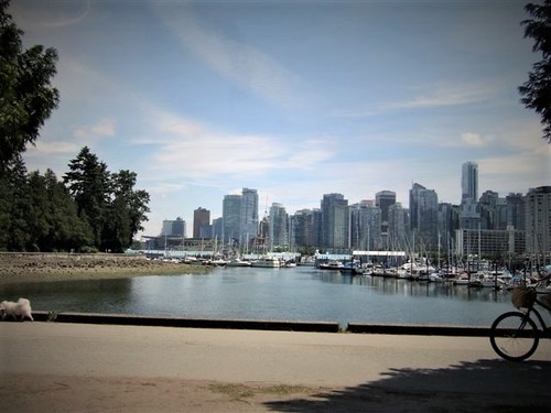 Stanley Park (7)