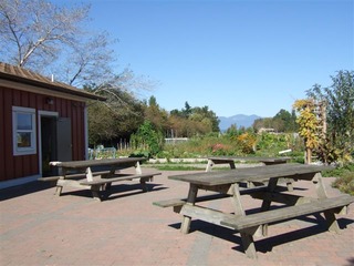 DSCF2096