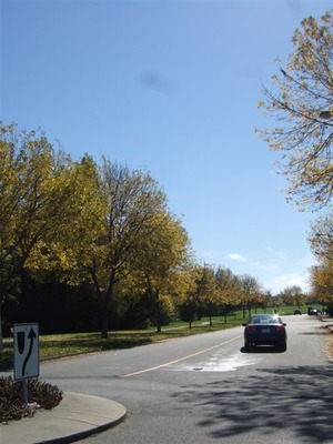 DSCF2083