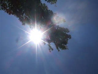 DSCF0095