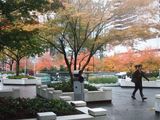 DSCF6852