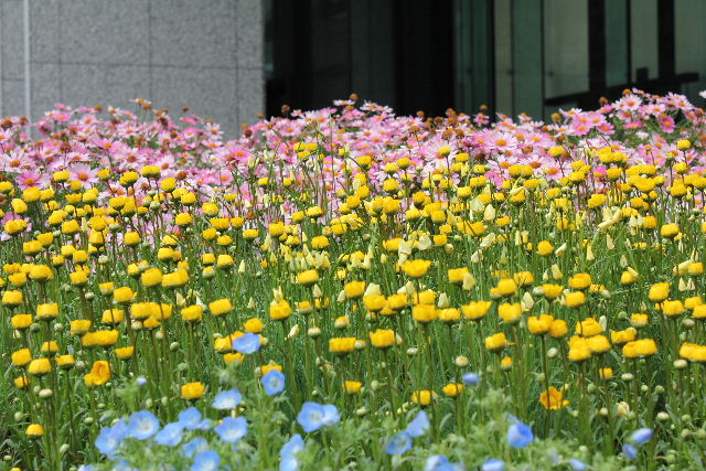 初めての一眼レフカメラ 7 ステップアップ講座 2 ピクチャースタイルと写真の選定方法 Elle と Riki の旅行情報