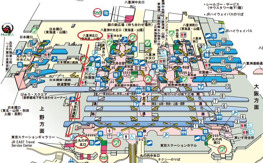 東京の桜13 18 東京駅 Elle と Riki の旅行情報 東京の桜13 18 東京駅 Elle と Riki の旅行情報