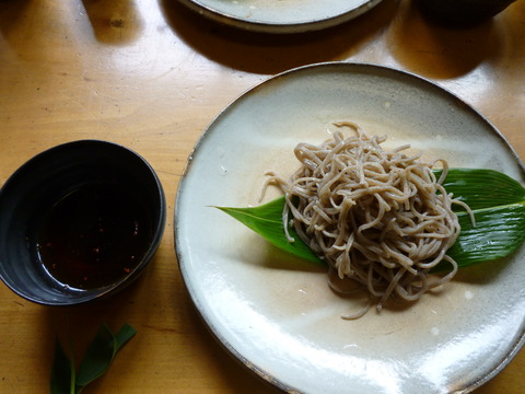 20110730-31長良川鵜飼＆高山 154