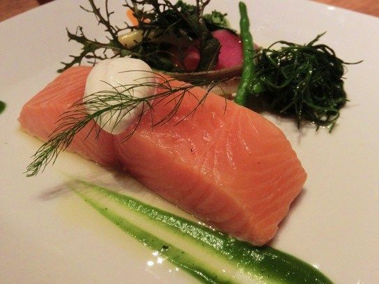 salmon