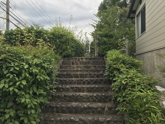 3F4E7203-A1B3-47D0-8535-B6C00CC6442B