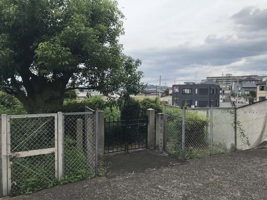 30A3787A-8351-417B-A686-D3BEF74B78DE