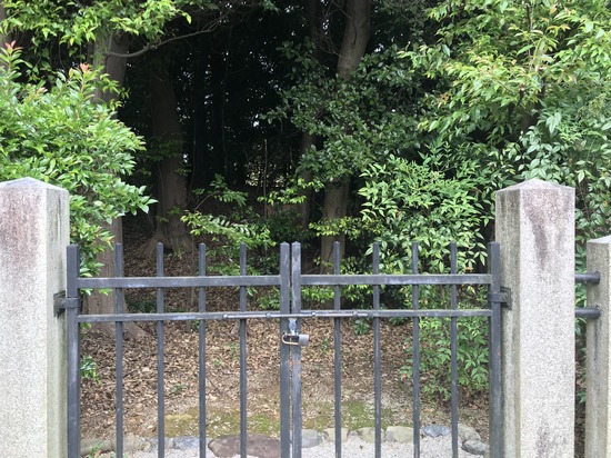 0D435162-236A-4561-9258-2521AC3ED631