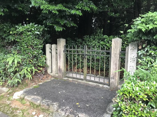 68E89E4D-E912-48F9-9E9D-F72AC030E5A4